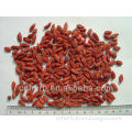 Dried Goji berry,Gojiberry,Wolfberry,Wolf berry,Lycium barbarum,Fructus lycii